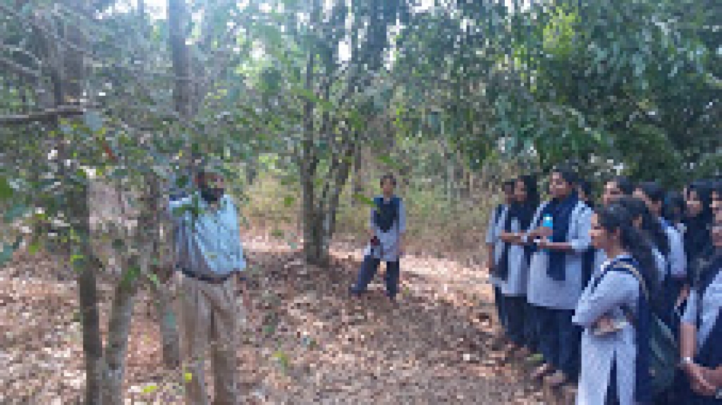 Field Visit