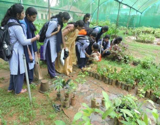 Certificate course - ├óŌé¼╦£Nursery techniques in plant propagation├óŌé¼Ōäó