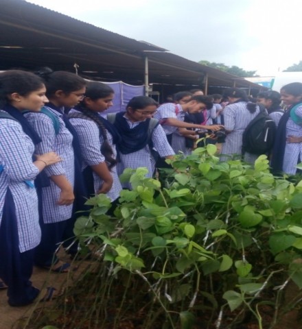 Certificate course - â€˜Nursery techniques in plant propagationâ€™